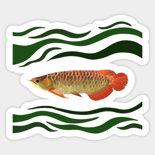 Orange Arowana Fish Green waves Sticker
